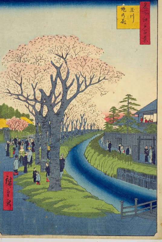 玉川堤の花（広重の絵）